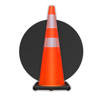 2026_cat_spot_home_12