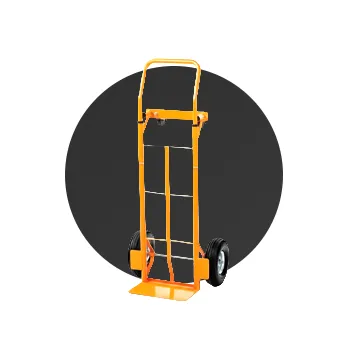 2026_cat_spot_home_3