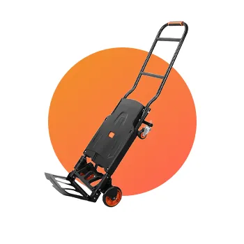 2026_cat_spot_home_3_