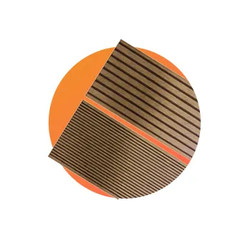 2026_cat_spot_home_4_