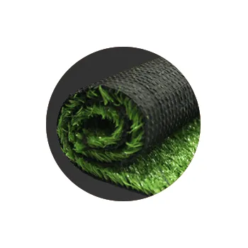 2026_cat_spot_home_5