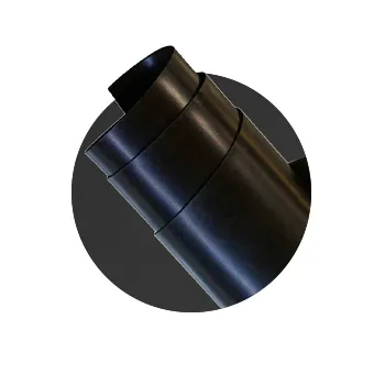 2026_cat_spot_home_8