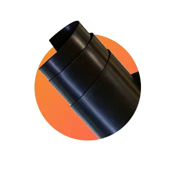 2026_cat_spot_home_8_