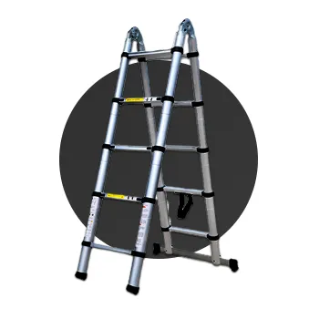 2026_cat_spot_home_9