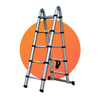 2026_cat_spot_home_9_